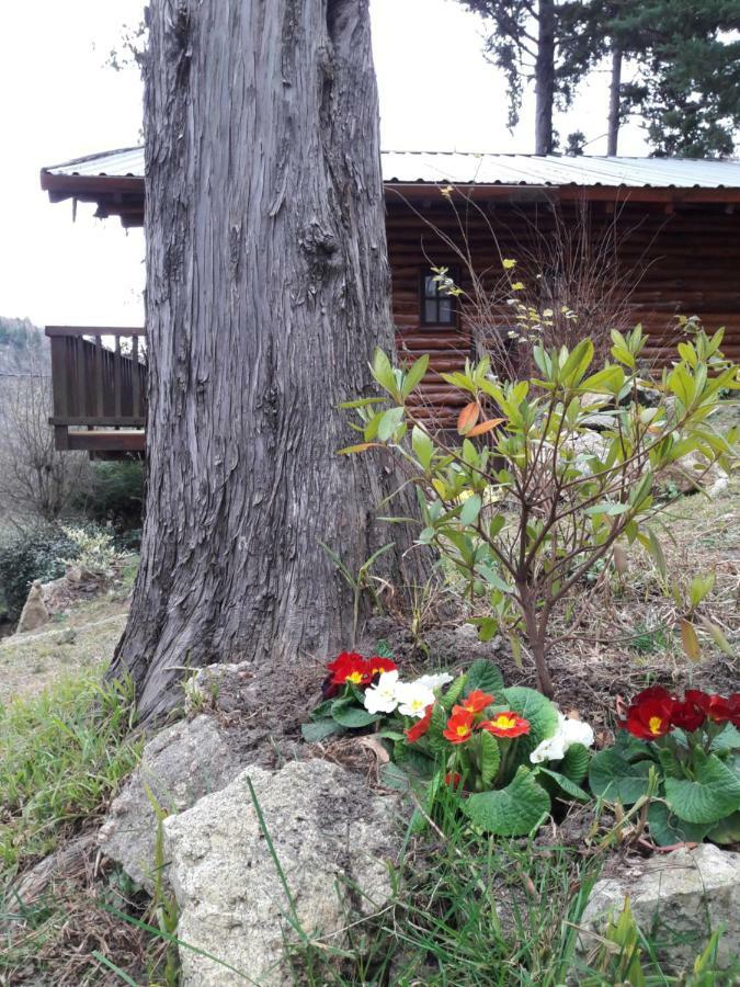 Cerro Cumbrecita Villa La Cumbrecita Esterno foto